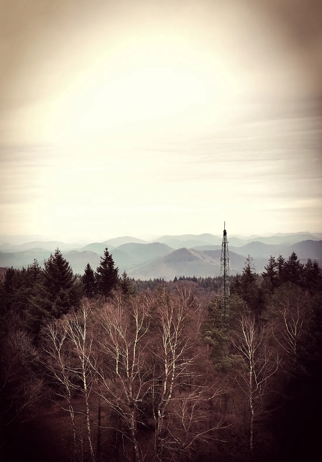 Une antenne sur les Vosges